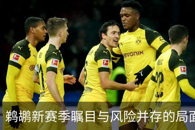 鹈鹕新赛季瞩目与风险并存的局面